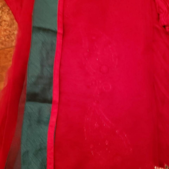 Indian Anarkali Suit - Picture 4 of 4